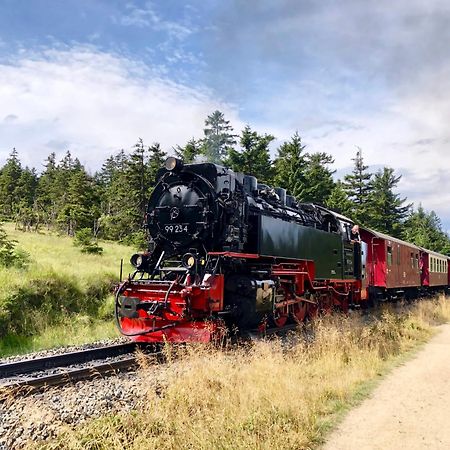 Fewo Fuchsbau Mit Dampfdusche #Kamin#Innenstadtnaehe#Netflix Von Harztraveler Bad Harzburg Extérieur photo