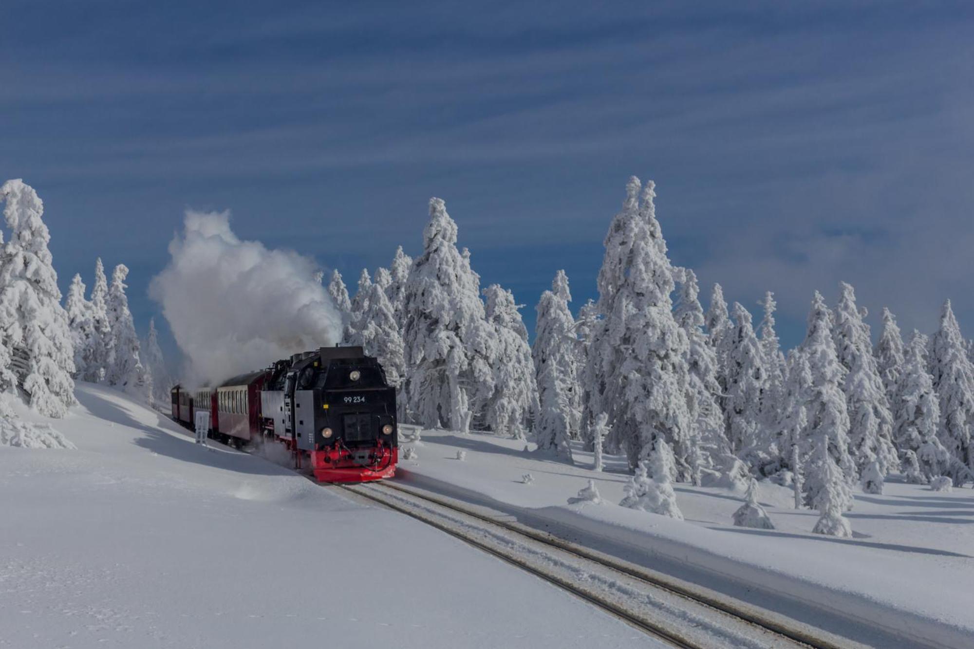 Fewo Fuchsbau Mit Dampfdusche #Kamin#Innenstadtnaehe#Netflix Von Harztraveler Bad Harzburg Extérieur photo